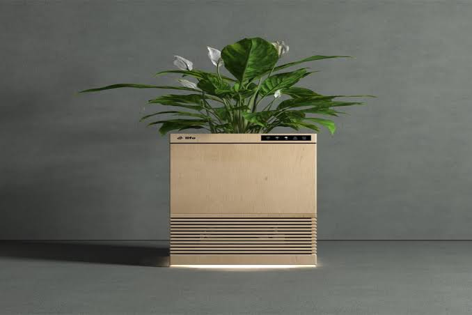Living-plant-based air purifier technology developed by IIT Ropar’s start-up