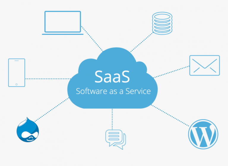SaaS model can cut IT costs up to 25 per cent