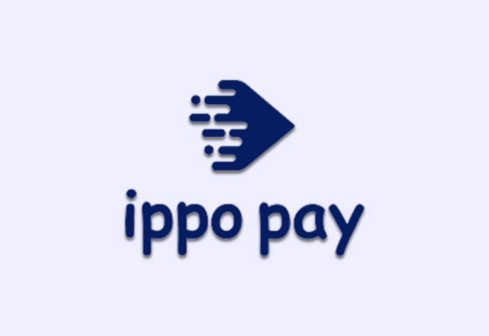 Fintech IppoPay acquires risk management startup Tutelar