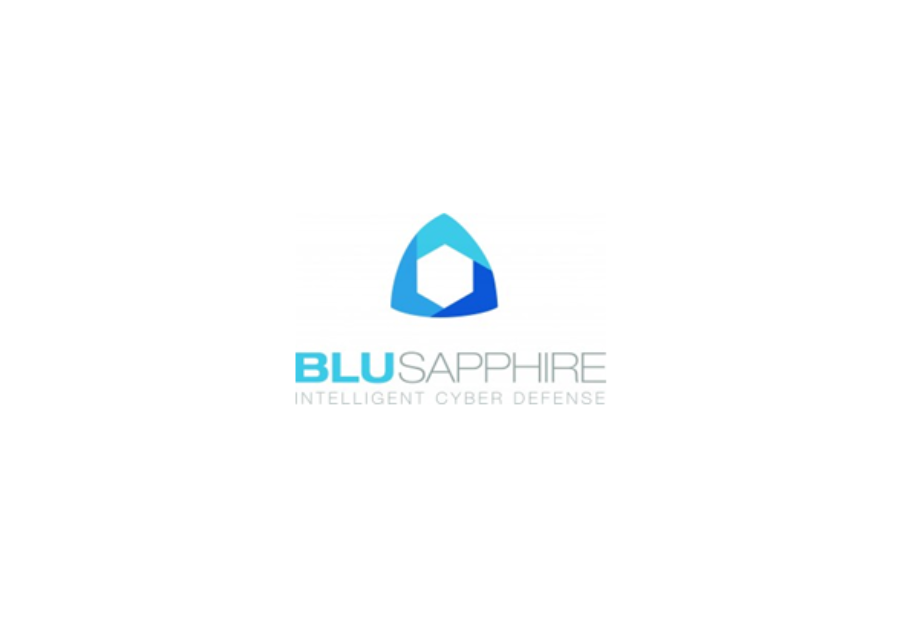 BluSapphire raises $9.2mn in Series-A Funding