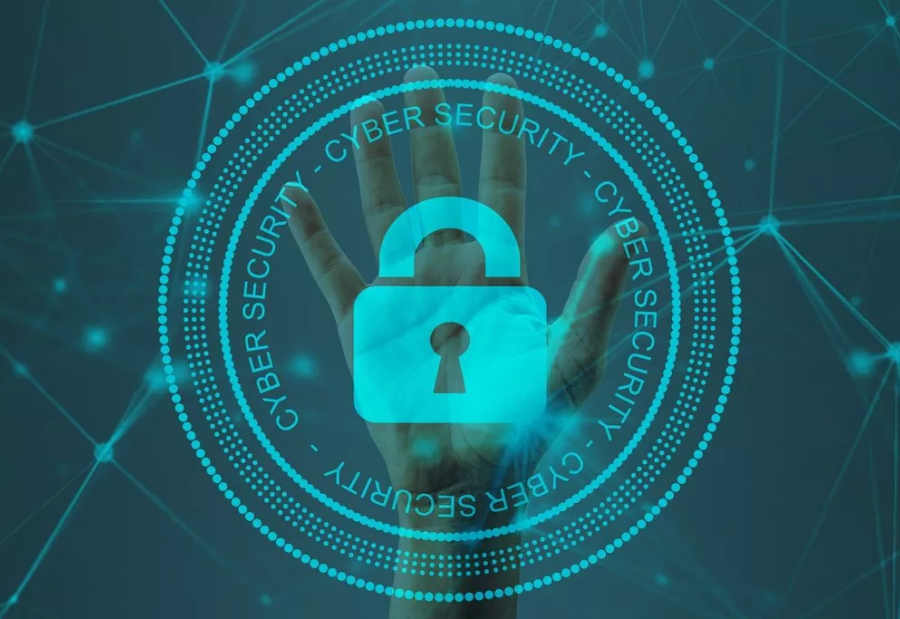 Safeguarding the Digital Horizon: 5 Trending Cybersecurity Brands in India (2024)