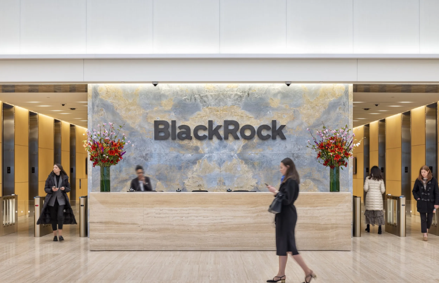 BlackRock is discussing investments to fuel AI with governments