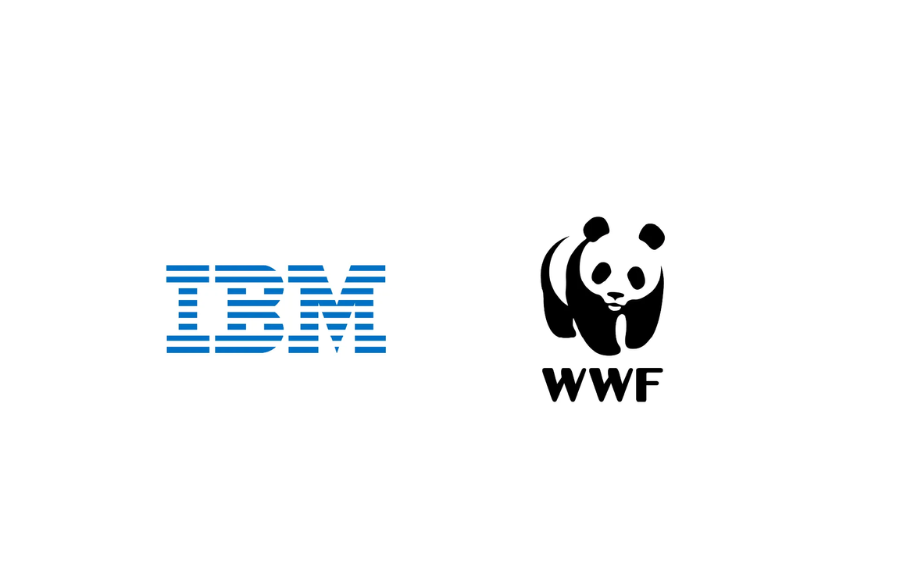 IBM and WWF-Germany to Build New AI Solution to Support Conservation of Keystone Species