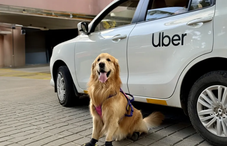 Uber Pet launches in Bangalore