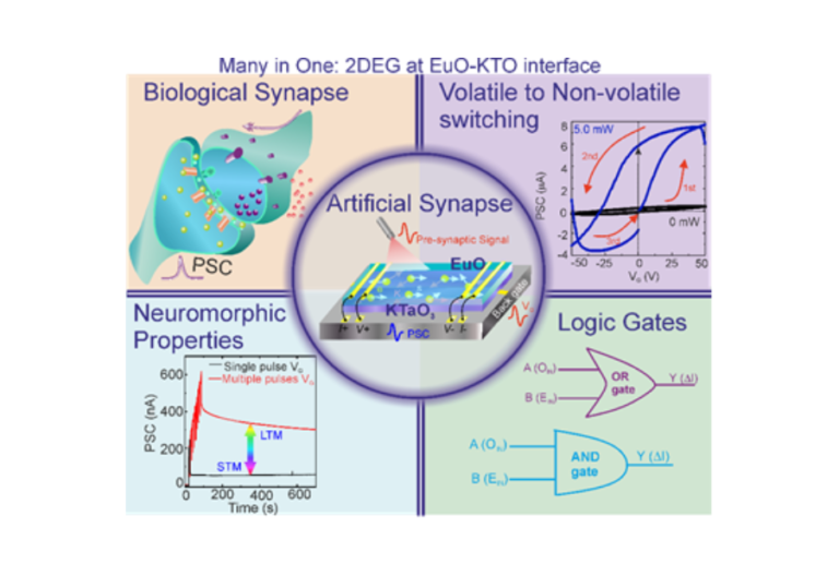 New artificial synaptic chip mimicking biological synapses to transform information technology