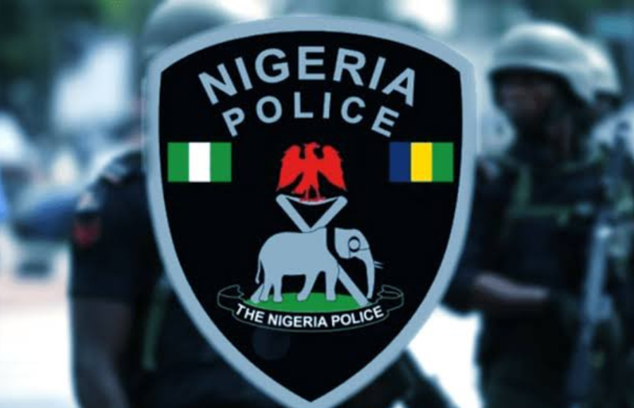 Nigeria Police Force arrested 113 foreign nationals on suspicion of cybercrime
