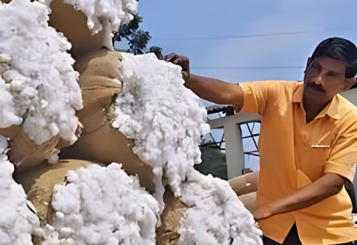 Why India Lagged in the Cotton Industry: The Impact of Anti-Technology Sentiment Why India Lagged in the Cotton Industry: The Impact of Anti-Technology Sentiment