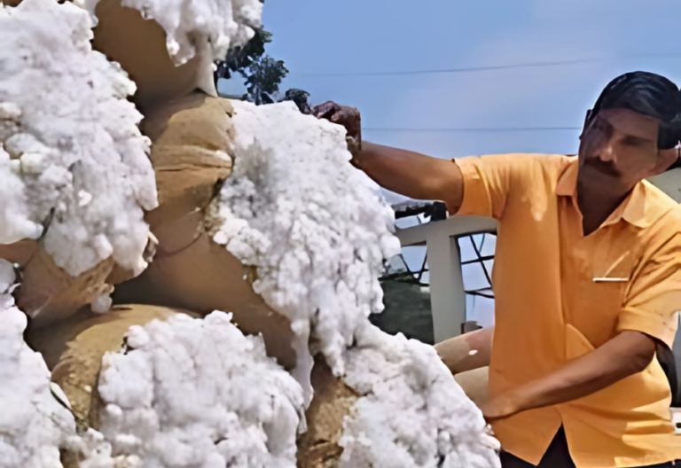 Why India Lagged in the Cotton Industry: The Impact of Anti-Technology Sentiment