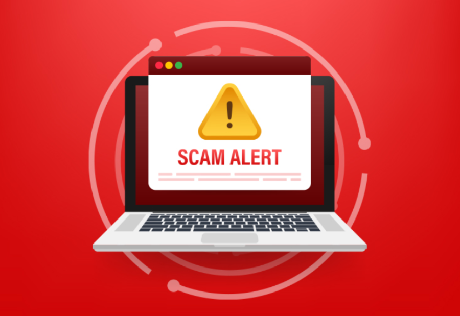 Cybercrime Hits Nellore Woman Loses ₹2.46 Crore to Fake Investment Scheme