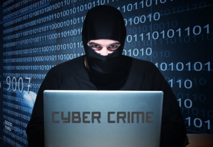 Teams were established in seven states after Gujarat had over one lakh cybercrime incidents last year
