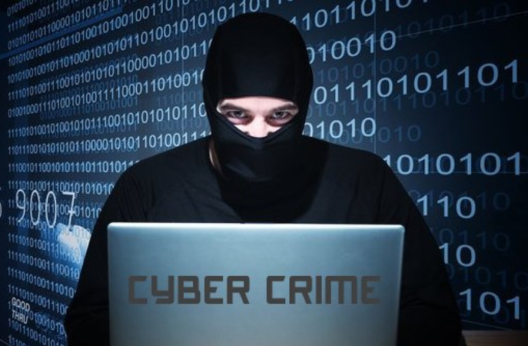 Teams were established in seven states after Gujarat had over one lakh cybercrime incidents last year