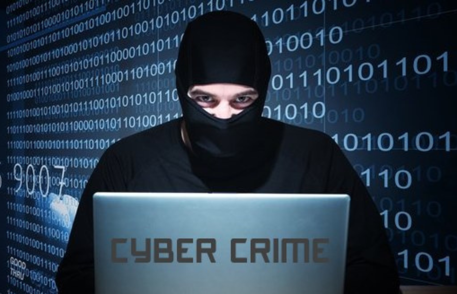 Teams were established in seven states after Gujarat had over one lakh cybercrime incidents last year