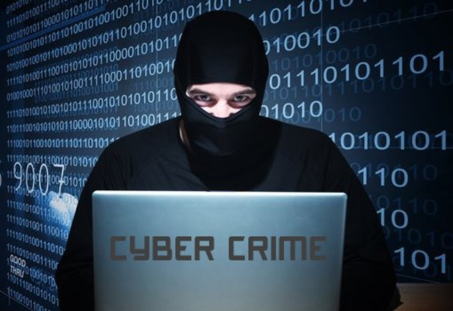 Teams were established in seven states after Gujarat had over one lakh cybercrime incidents last year