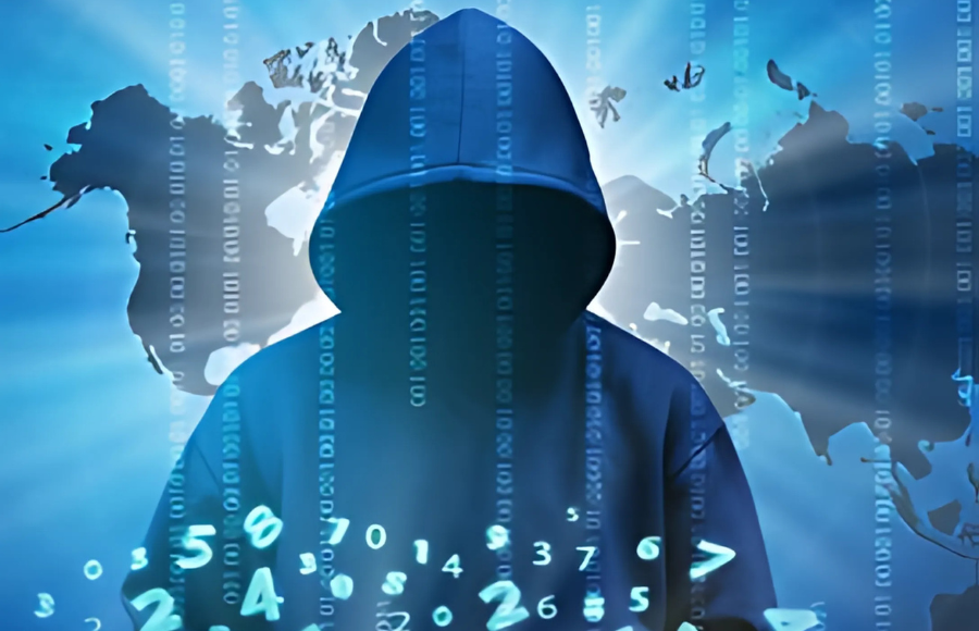 Cyber Fraud Hits PhD Holder of ₹11.33 Lakh in Work-From-Home Scam in Pinjore