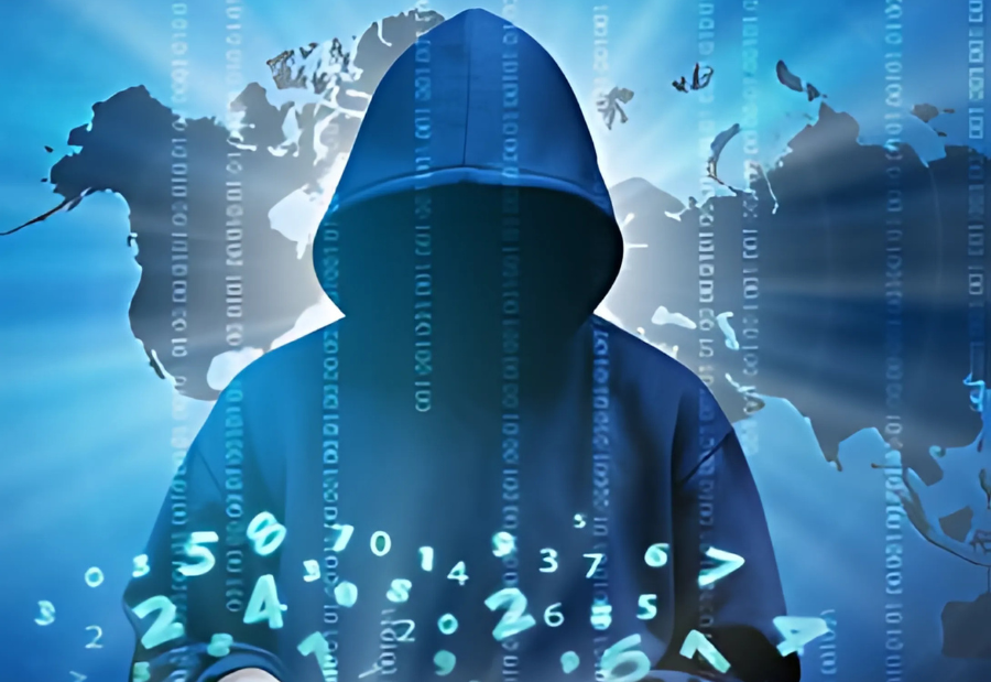 Cyber Fraud Hits PhD Holder of ₹11.33 Lakh in Work-From-Home Scam in Pinjore
