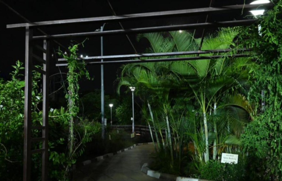 From Concrete to Canopy: Marol’s Urban Oasis Brings Cool Relief to Mumbai