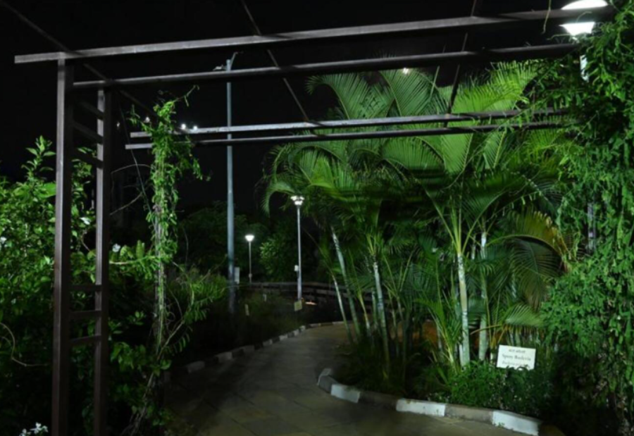 From Concrete to Canopy: Marol’s Urban Oasis Brings Cool Relief to Mumbai