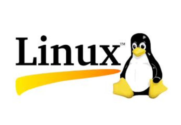 Linux security flaw gives hackers access to sensitive data