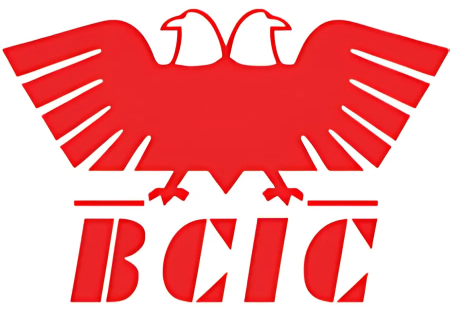 India lags behind the rest of the world in AI Adoption: BCIC