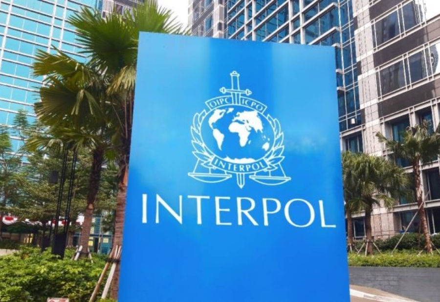 Interpol’s cybercrime operation dismantles over 20,000 malicious domains