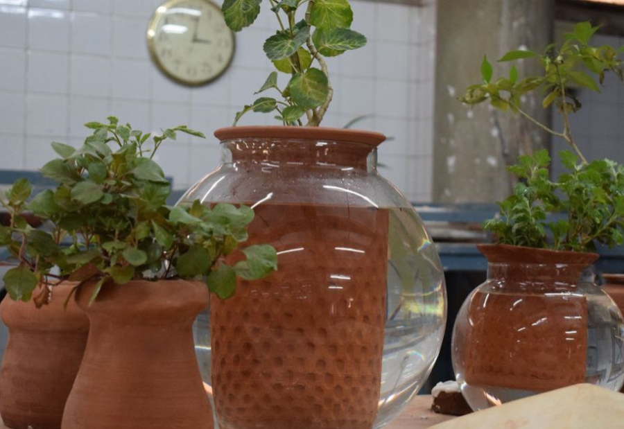 Self-Watering Pot Keeps Plants Alive for 15 Days and Reduces Water Use by 80 Percent