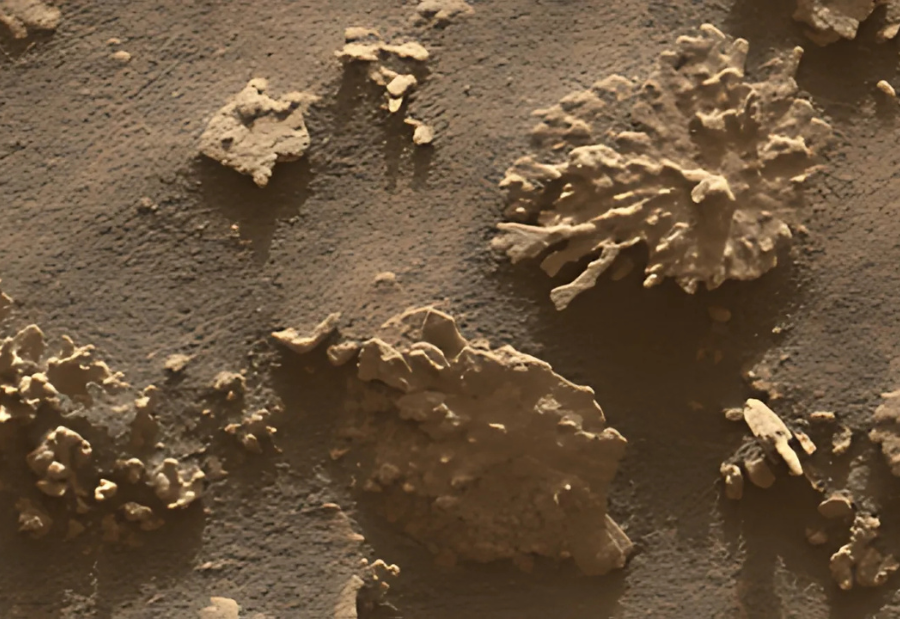 Curiosity Rover Captures Coral Like Rock Formation On Mars