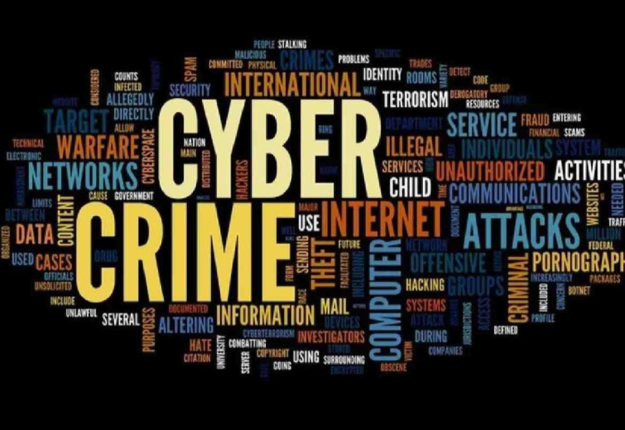 Delhi Loses ₹1,450 Crore To Cybercrime In 11 Years