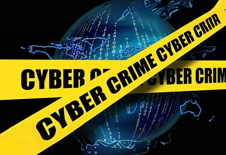 Private Bank Official and Accomplice Divert ₹17 Lakh from Cybercrime Gang