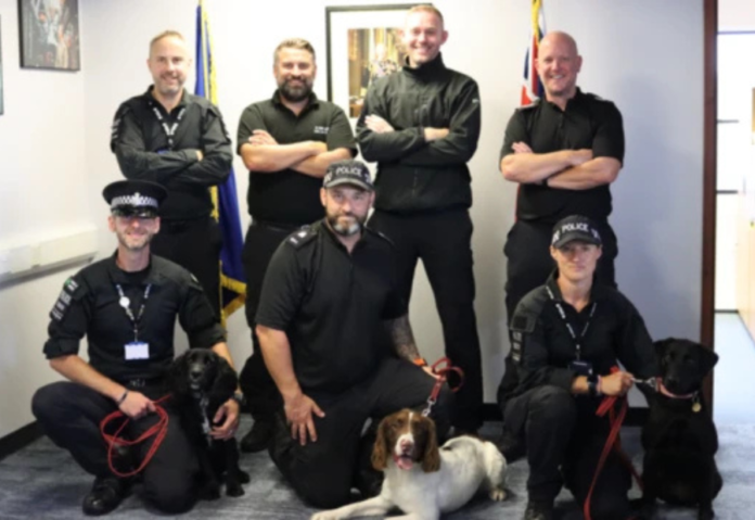 Police Dogs Trained to Detect Digital Evidence in Cybercrime Cases