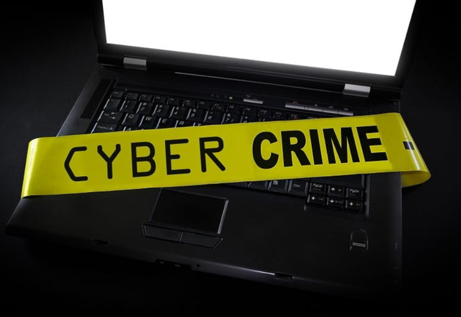 Proactive policing only way to tackle cybercrime, says Shikha Goel