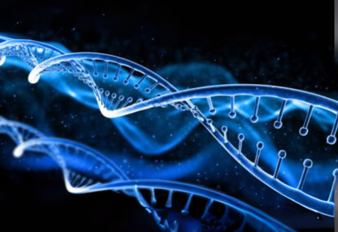 Stanford and Arc Institute Create First AI Designed Genome Capable of Infecting Bacteria