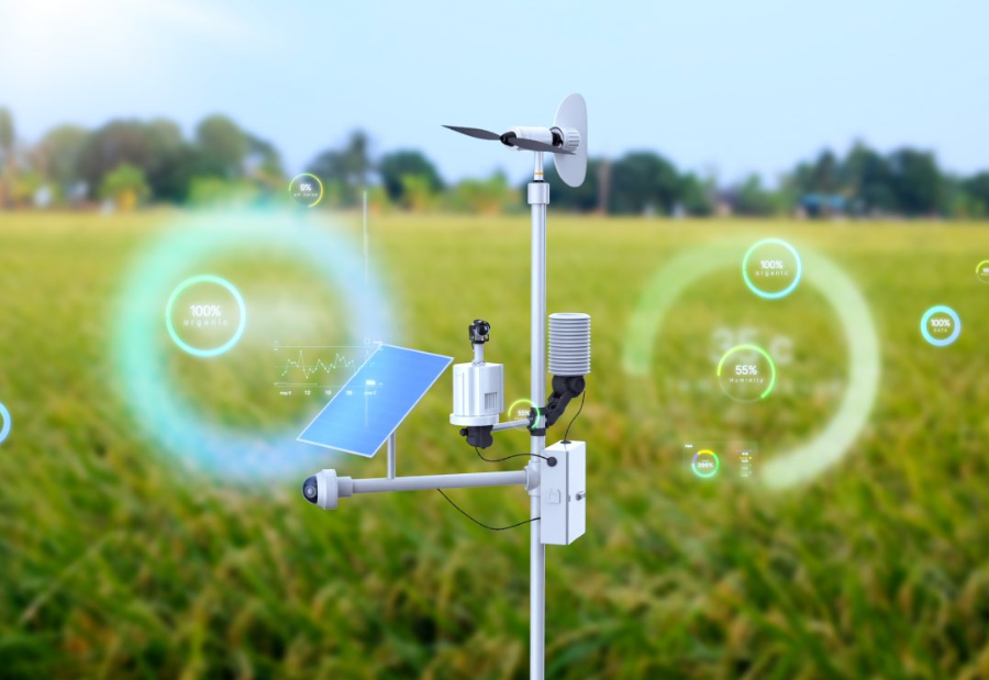AI-Powered Weather Forecasting Could Revolutionize Farming Worldwide