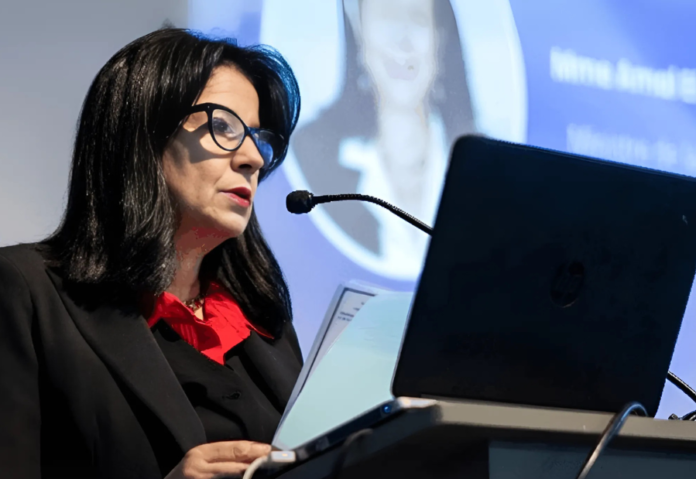 Morocco Launches Arab-African Digital Hub for Sustainable Development at UNGA Morocco Launches Arab-African Digital Hub for Sustainable Development at UNGA