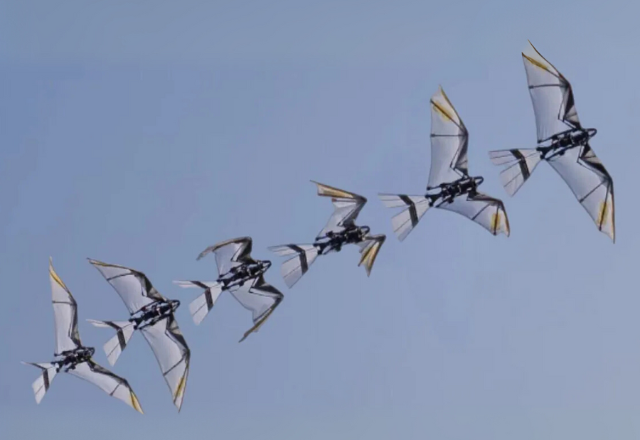 RoboFalcon 2.0 Achieves Self-Takeoff and Controlled Flight with Bird-Inspired Wings