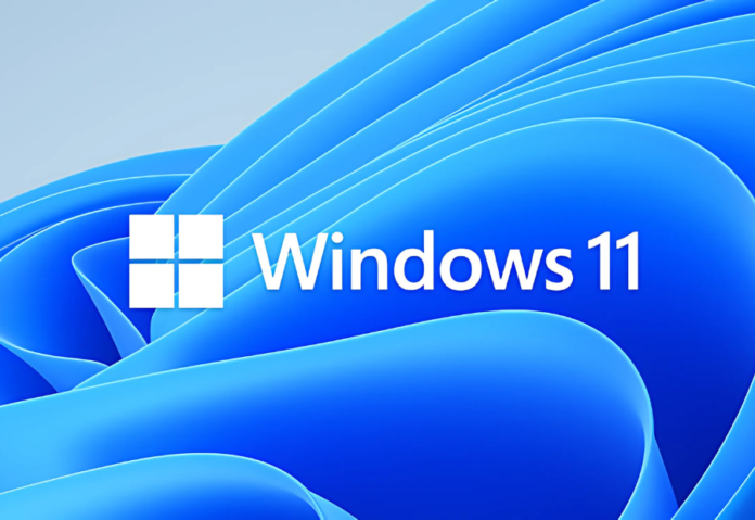 Microsoft brings Vista-era animated wallpapers back to Windows 11 with Insider build support Microsoft brings Vista-era animated wallpapers back to Windows 11 with Insider build support