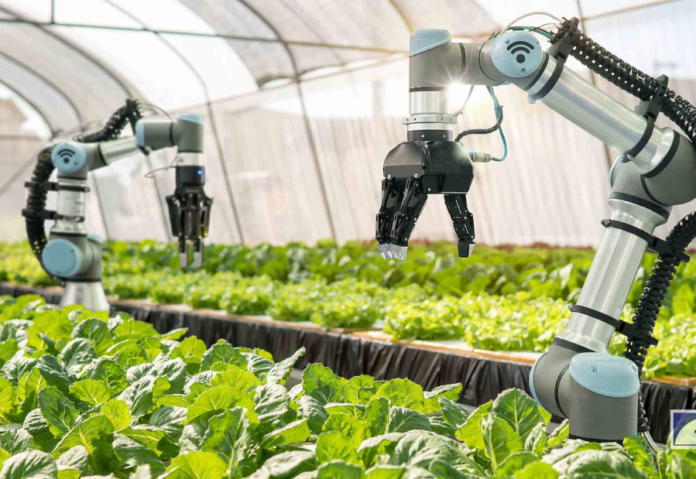 Technology Driving India’s Agricultural Transformation: From Seed to Market