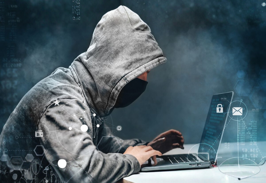 Cyber crime team busts fake booking racket for Gir and Devaliya safaris