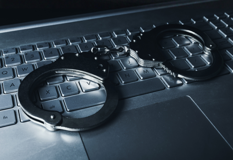 Authorities warn against 'digital arrest' scams as cyber fraud cases soar
