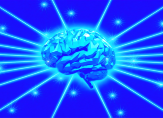 Google tests new AI driven Scholar Labs to improve scientific search Google tests new AI driven Scholar Labs to improve scientific search