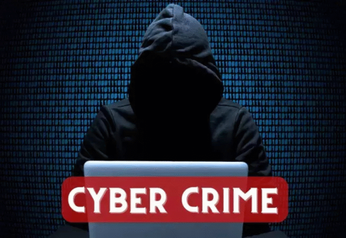 Haryana and Madhya Pradesh cyber fraud network under investigation after Rs 3,000 crore scam Haryana and Madhya Pradesh cyber fraud network under investigation after Rs 3,000 crore scam