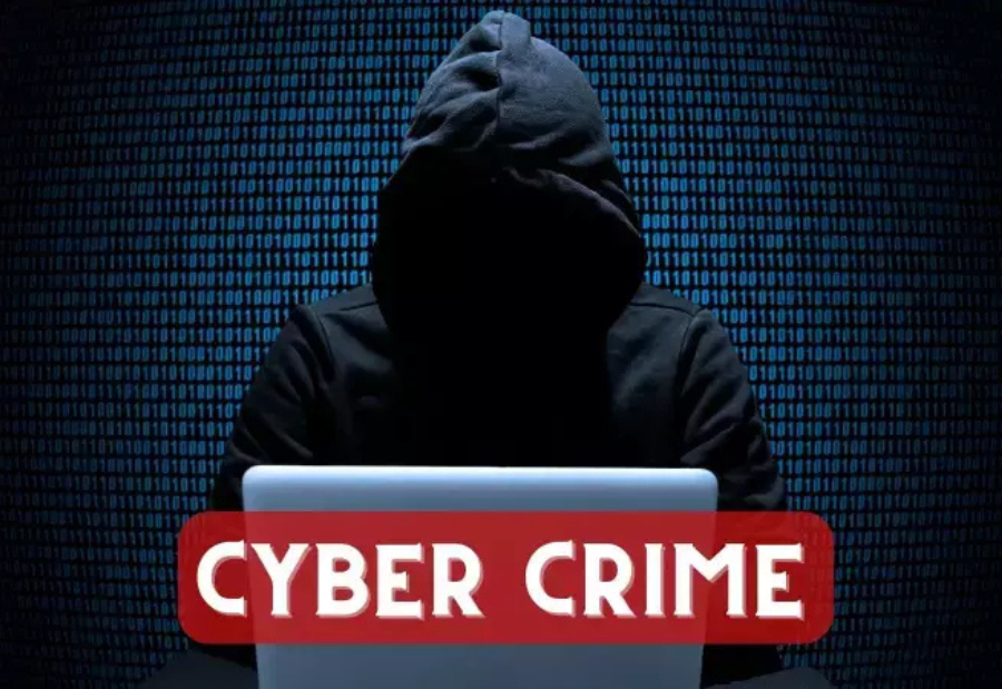 Haryana and Madhya Pradesh cyber fraud network under investigation after Rs 3,000 crore scam