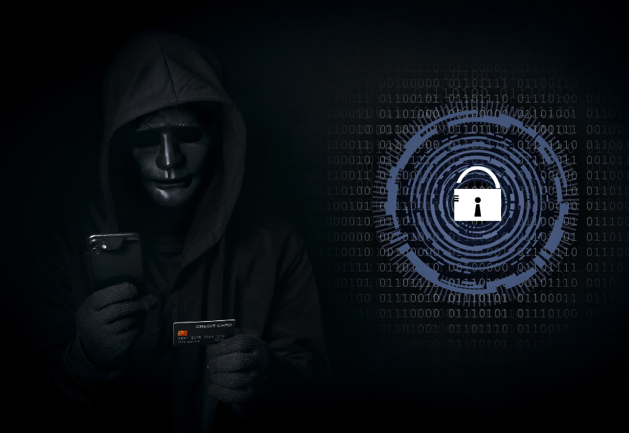 Odisha reports rise in cyber fraud with losses over 200 crore