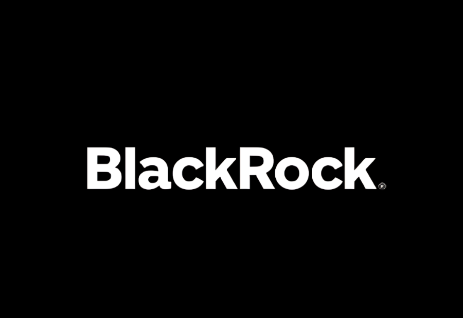BlackRock sets 2026 market strategy with focus on AI, income and diversification