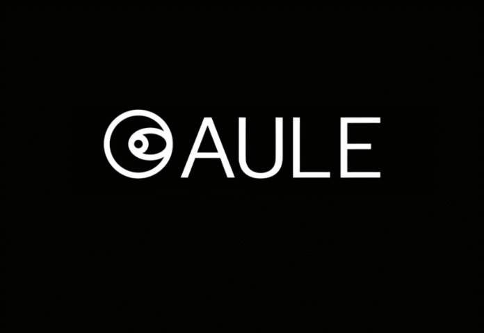 Aule Space raises $2 million in pre-seed round to advance satellite tech Aule Space raises $2 million in pre-seed round to advance satellite tech