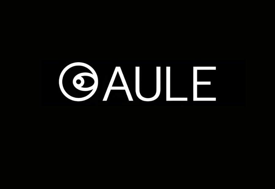 Aule Space raises $2 million in pre-seed round to advance satellite tech