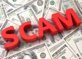 Fake overseas job offer traps Indian youths in cross-border cybercrime racket Indian youths rescued after overseas job scam leads to forced cybercrime near Thailand-Myanmar border