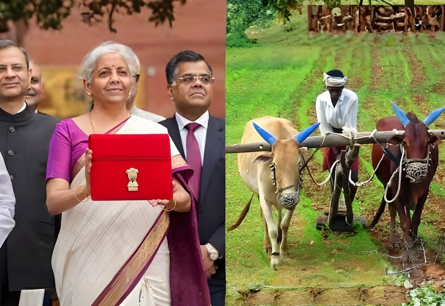 Budget 2026 introduces Bharat Vistaar to deliver AI-driven farm advice