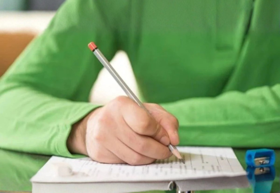 Cabinet to review recommendations on language policy and AI in primary schools