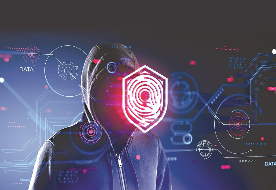 Court moved to seize properties in large-scale PM-Kisan cyber fraud investigation