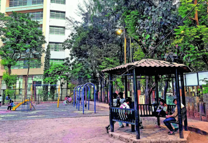 Experts caution against monoculture as BMC plans bamboo plantations to fight pollution